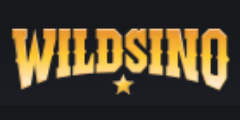 Wildsino casino logo